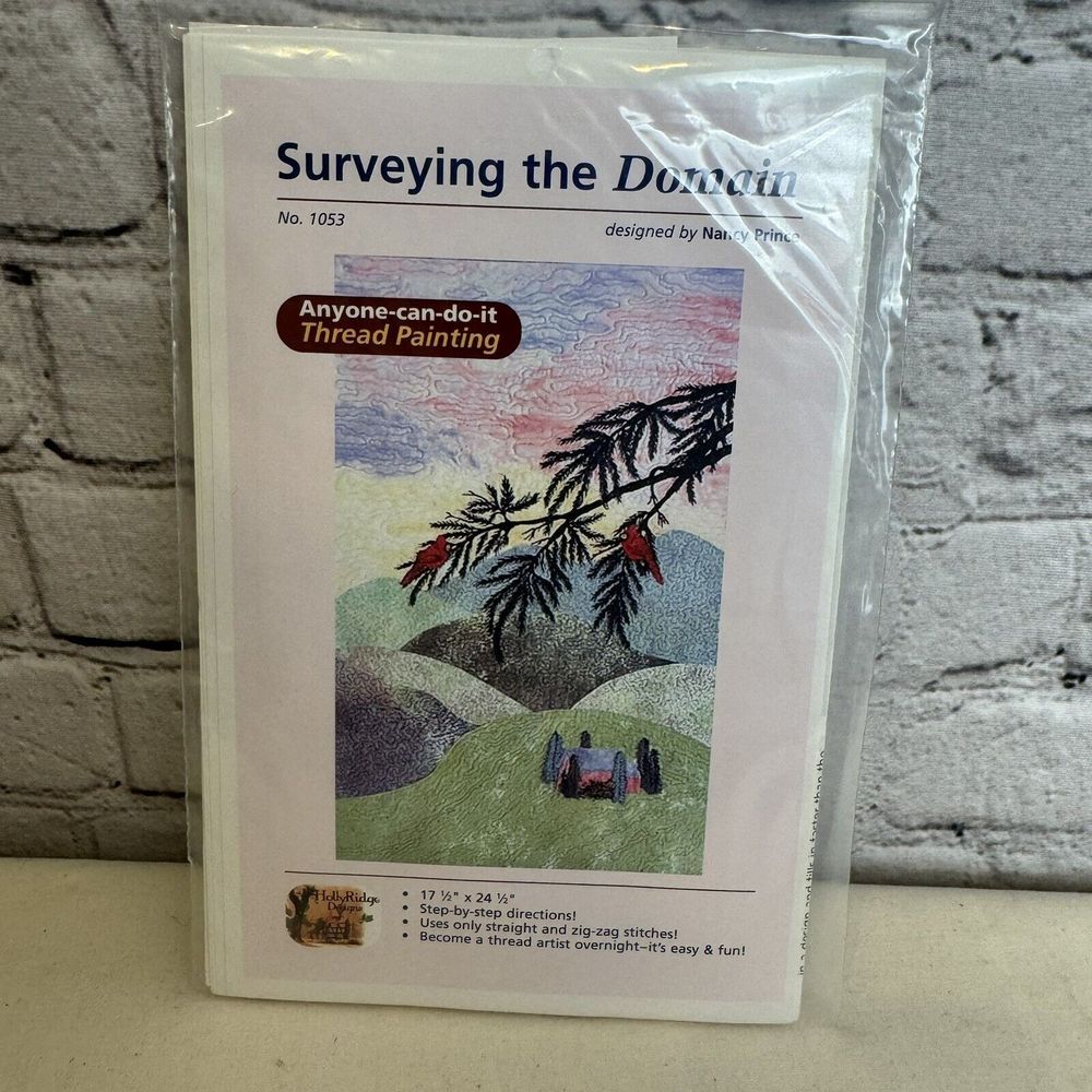 Surveying the Domain Quilt Wall Hanging Pattern Nancy Prince 17x24 2002